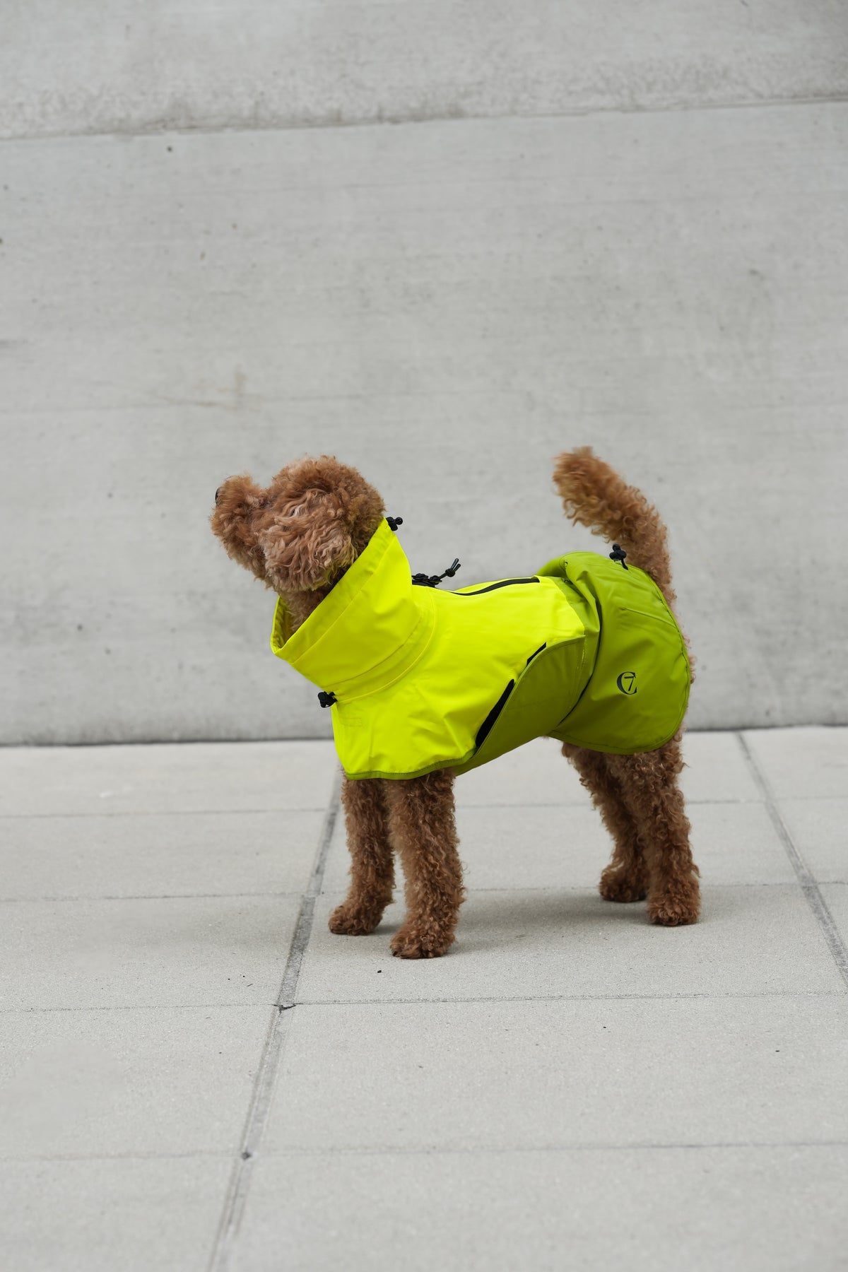 Cloud7 Hunderegenmantel Aktiv Neon Green Light Olive Hunderegenmantel Regenmantel Hund wasserabweisend
