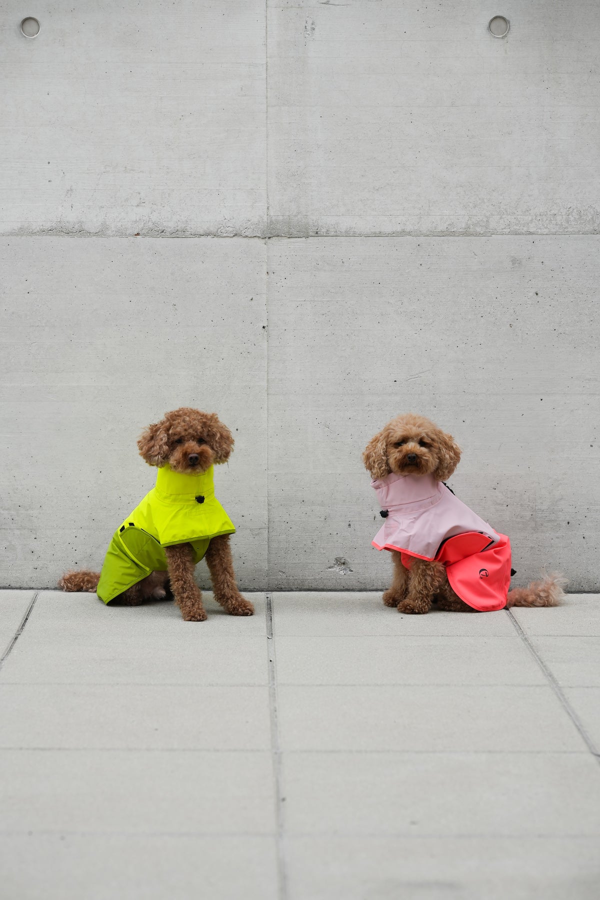 Cloud7 Hunderegenmantel Aktiv Peach Neon Pink Hunderegenmantel reflektierend bunt