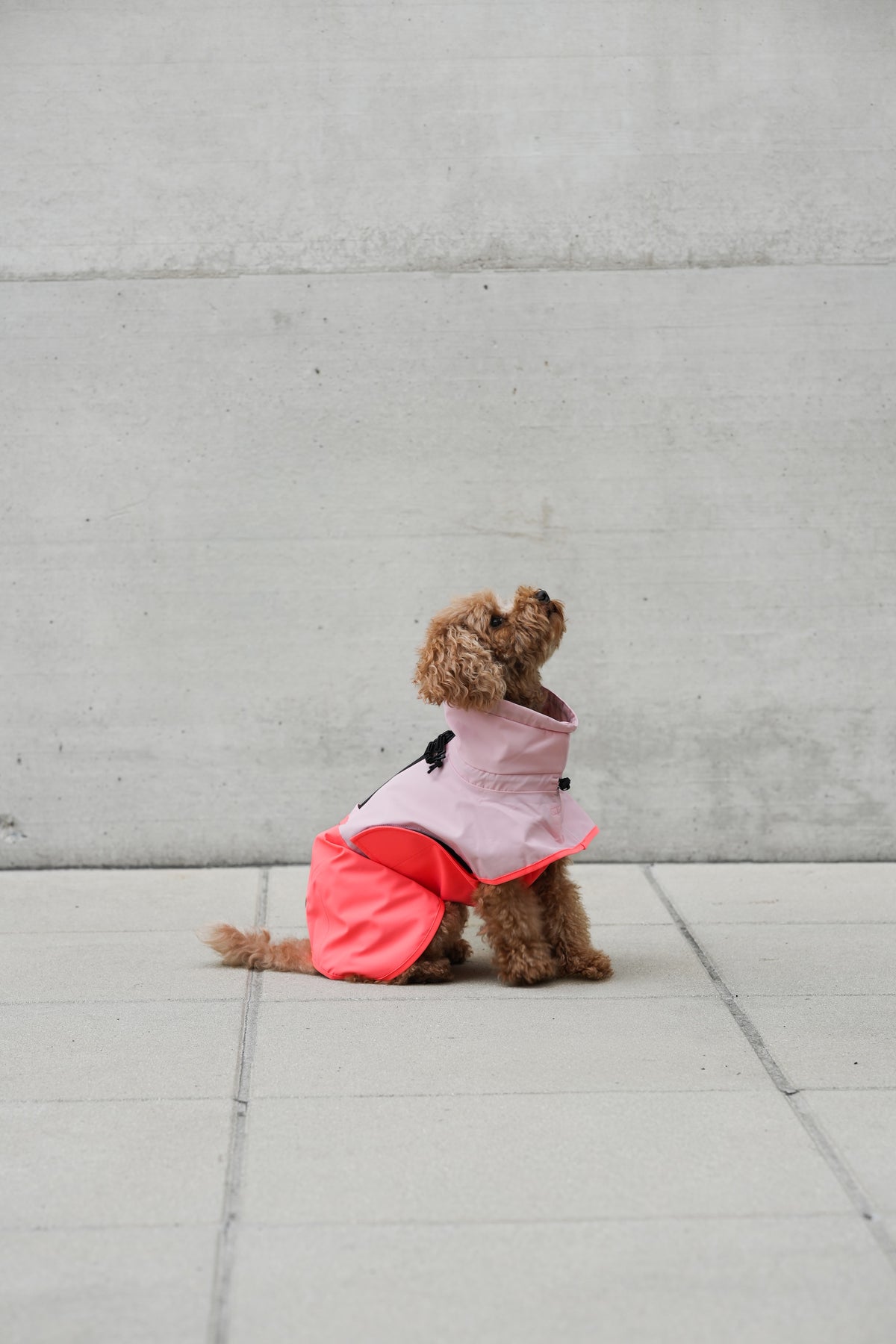 Cloud7 Hunderegenmantel Aktiv Peach Neon Pink Hunderegenmantel reflektierend wasserdicht