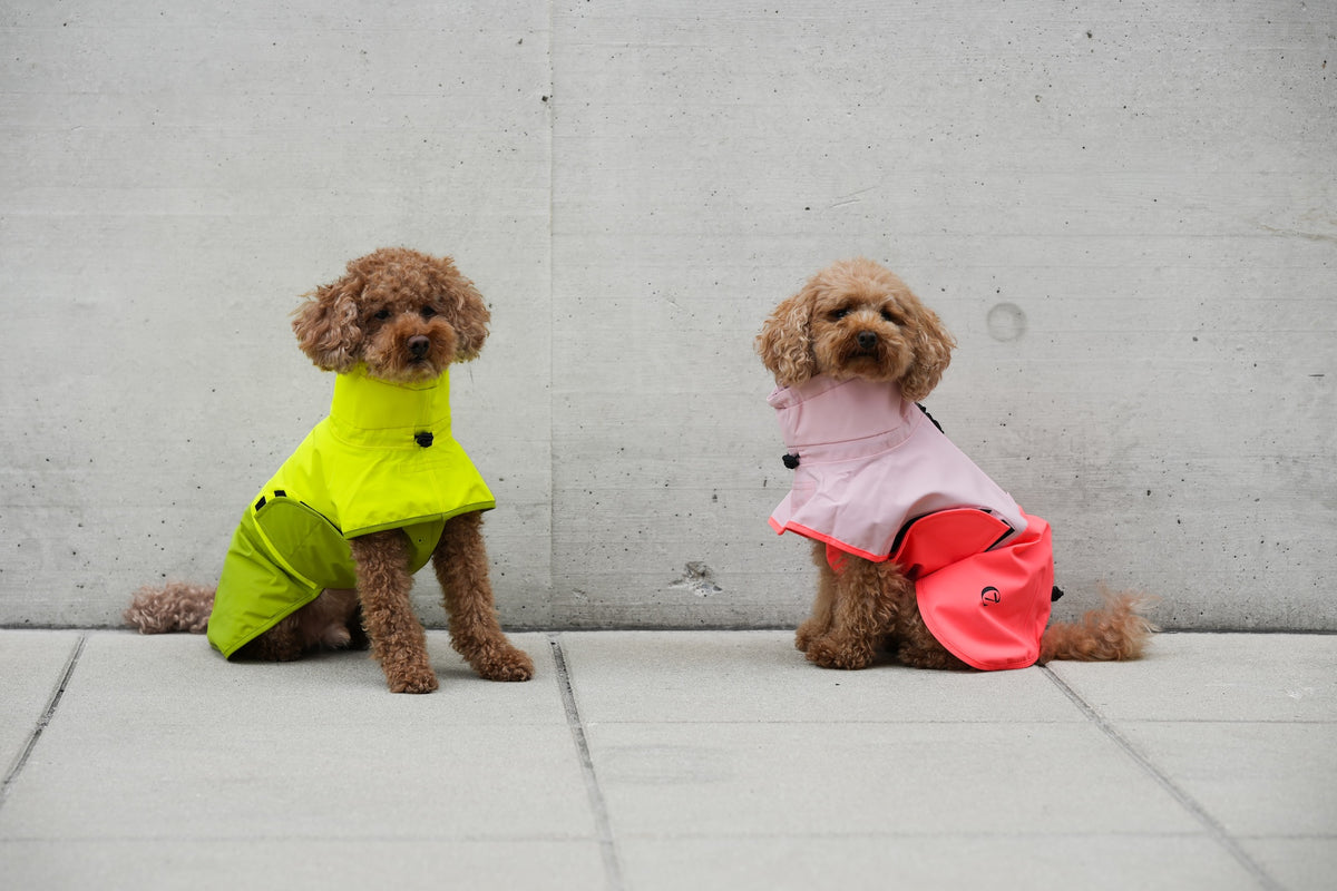 Cloud7 Hunderegenmantel Aktiv Peach Neon Pink Hunderegenmantel waschbar reflektierend