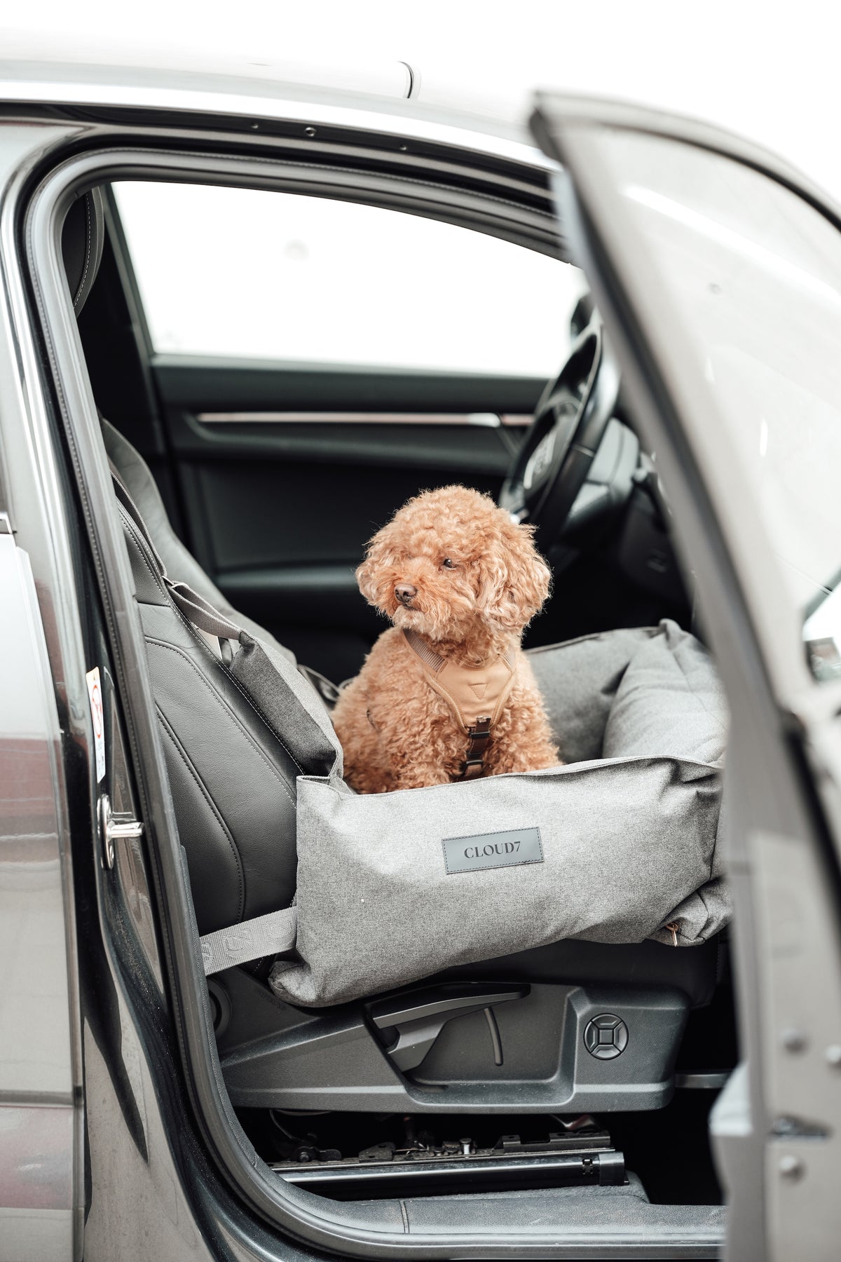 Cloud7 Hundeautositz Getaway Light Graphite Hundeautositz waschbar