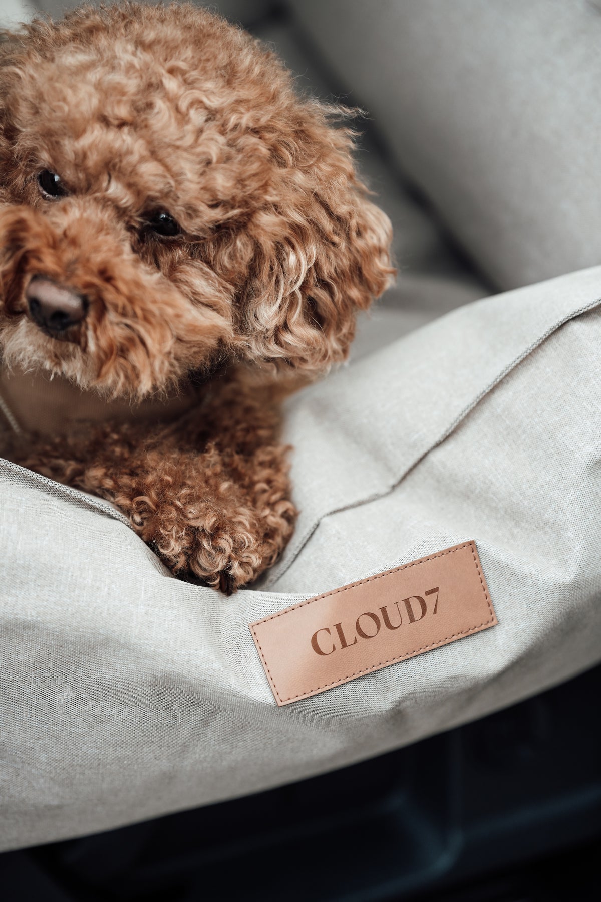 Cloud7 Hundeautositz Getaway Sand tragbar Autositz Hund Reisen mit Hund