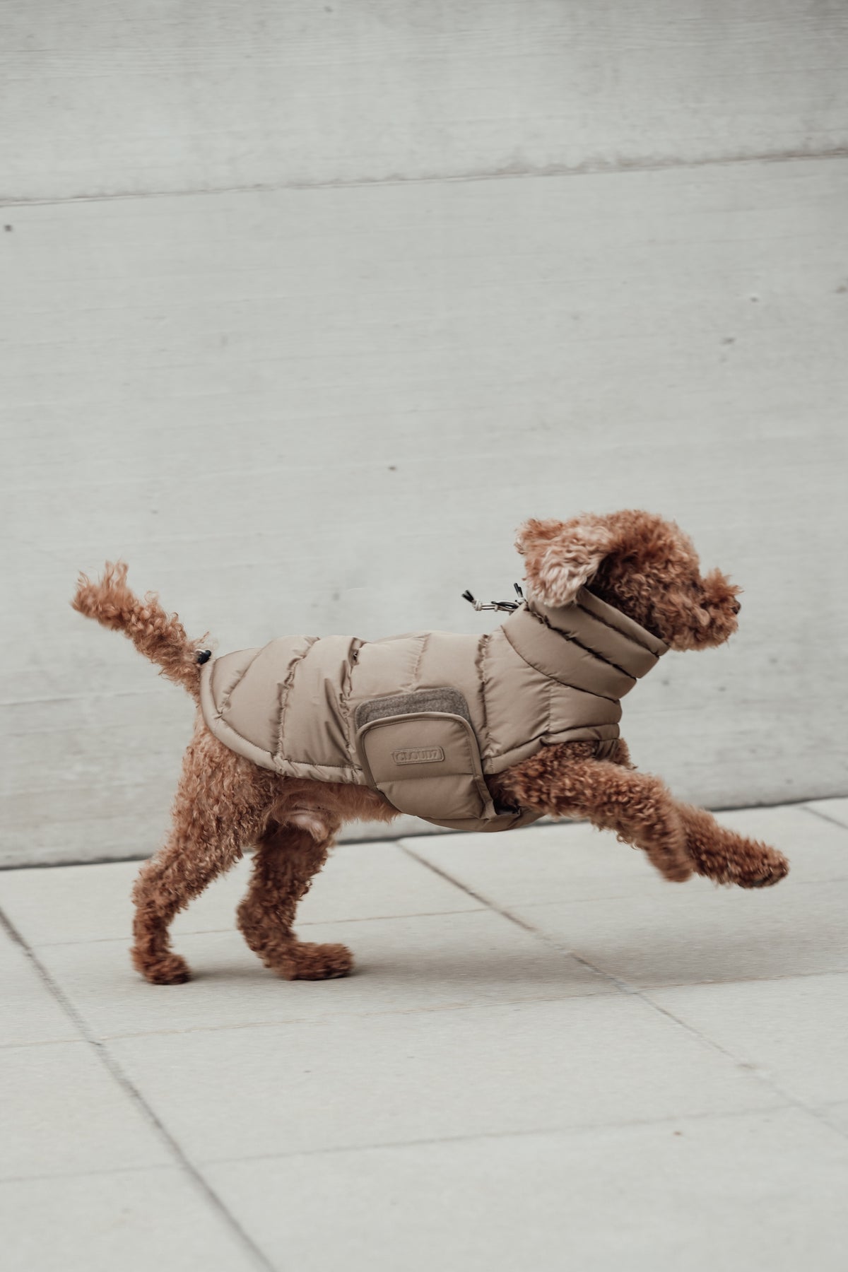 Cloud7 Hundemantel Alaska Sandy Brown Hundemantel Dackelmantel extra warm