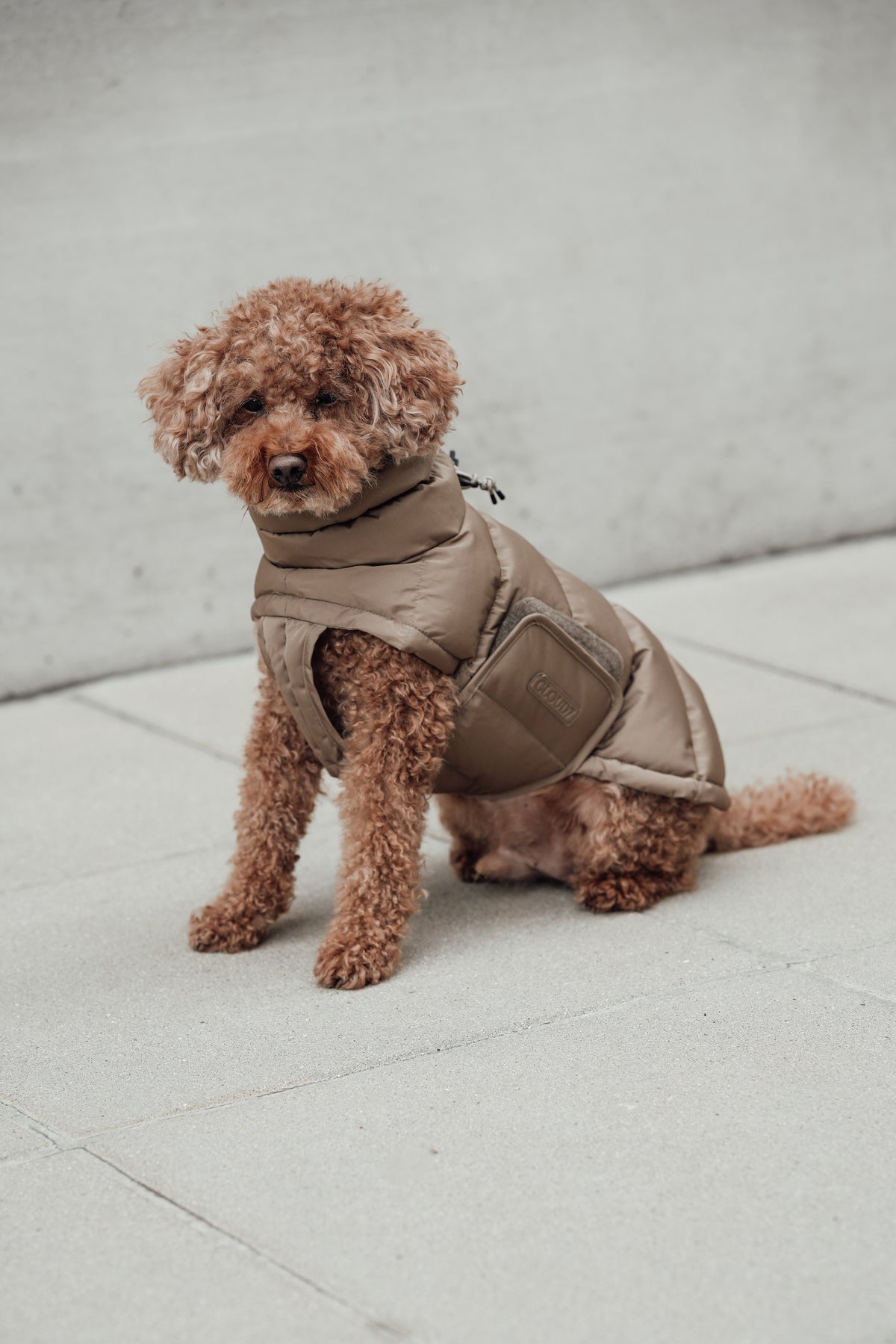 Cloud7 Hundemantel Alaska Sandy Brown Hundemantel Wintermantel für Hunde für Dackel