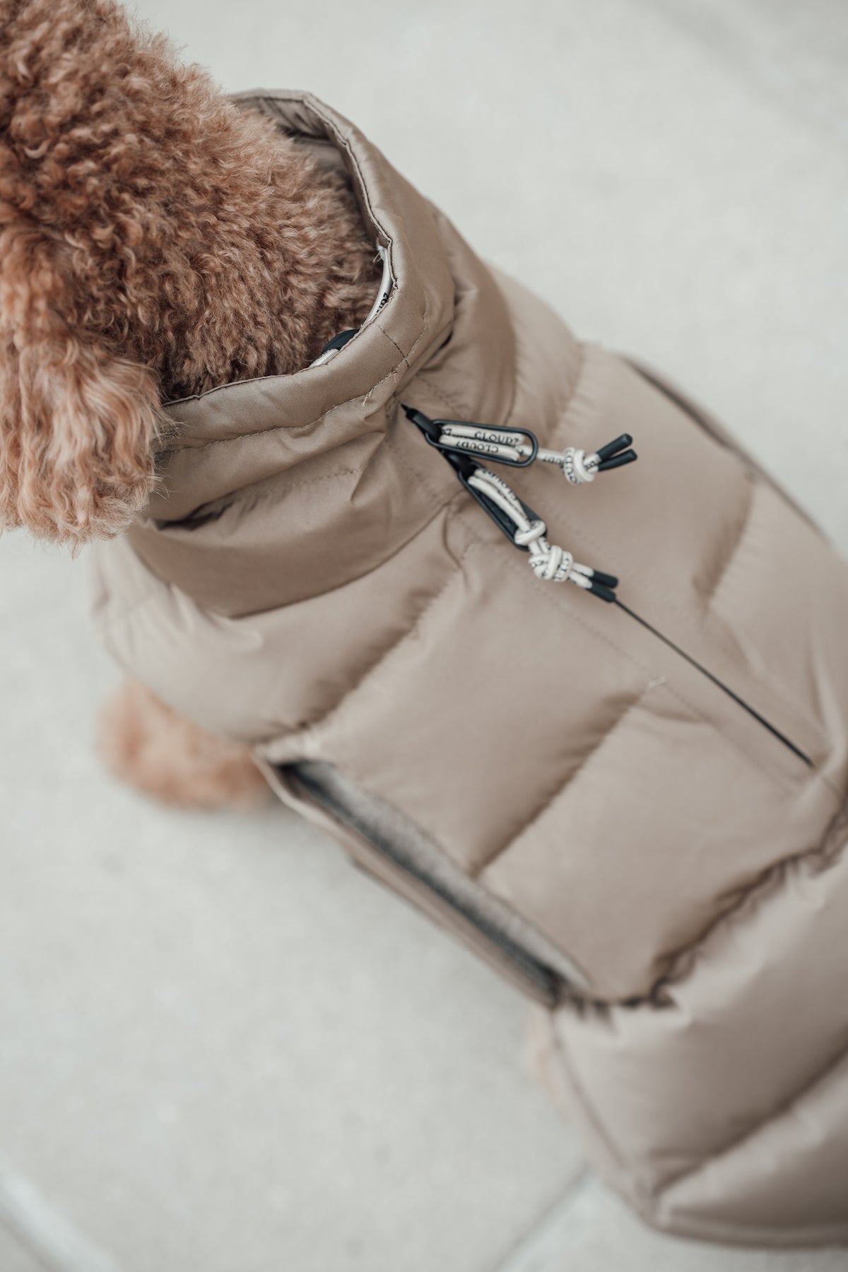 Cloud7 Hundemantel Alaska Sandy Brown Hundemantel Wintermantel für kleine Hunde