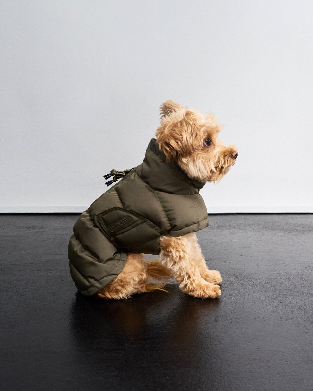 Cloud7 Hundemantel Winter Everest Light Olive Hundewintermantel Hundemantel wasserdicht