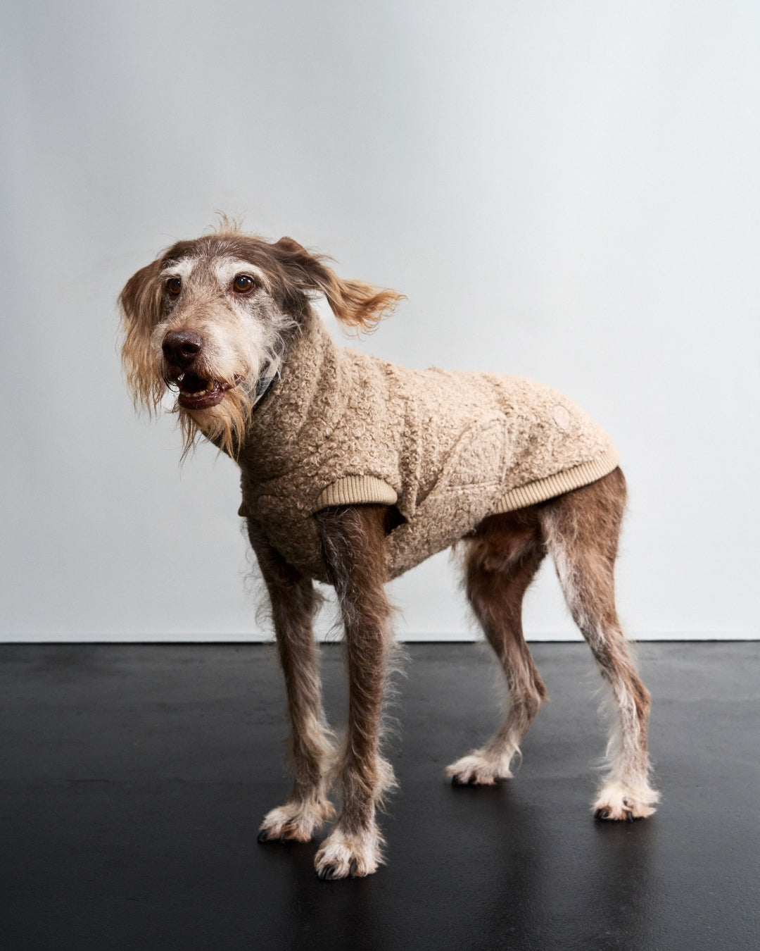 Cloud7 Hundepullover Gotland Sandy Brown Wintermantel für Hunde Hundepullover