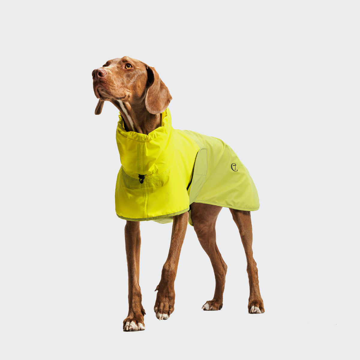 Cloud7 Hunderegenmantel AKTIV Neon-Green / Light-Olive Hunderegenmantel reflektierend