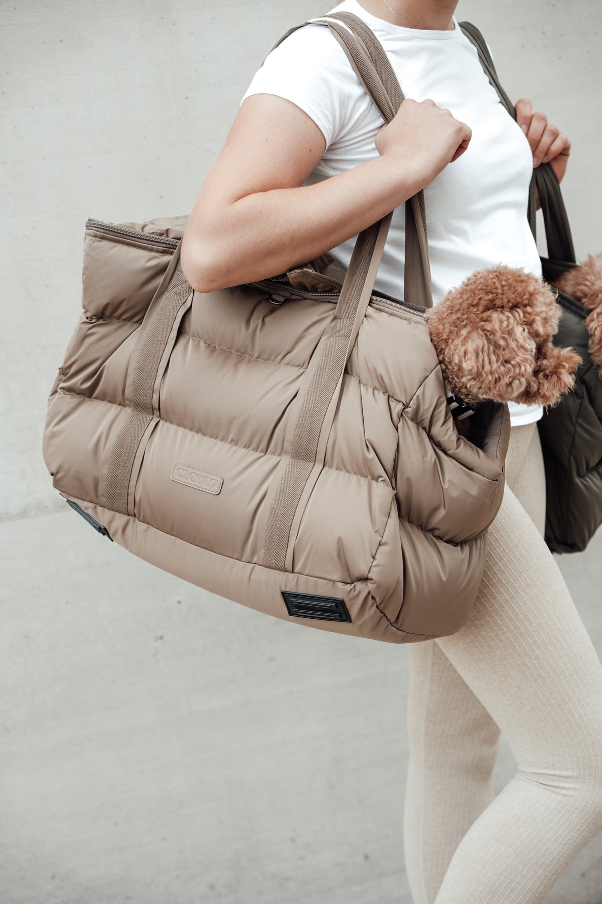 Cloud7 Hundetasche Montreal Hundetragetasche wasserabweisend
