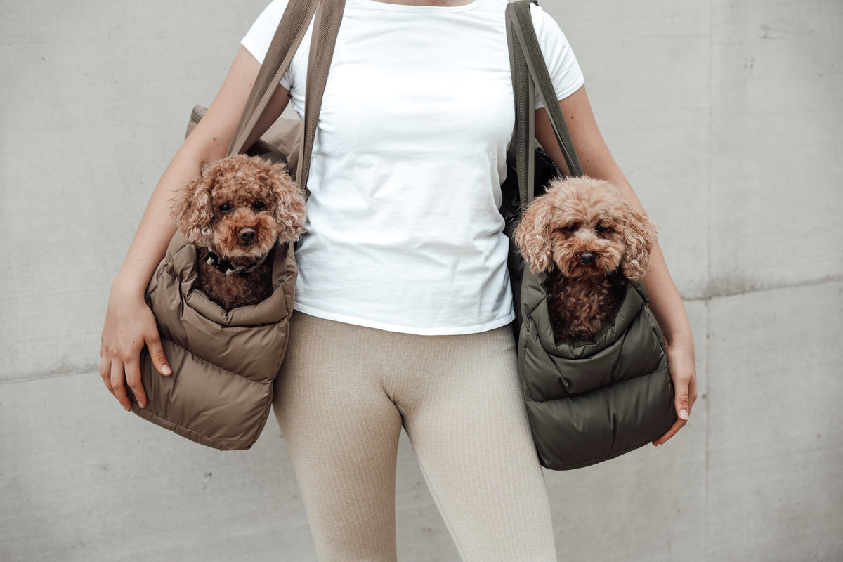Cloud7 Hundetasche Montreal Hundetragetasche