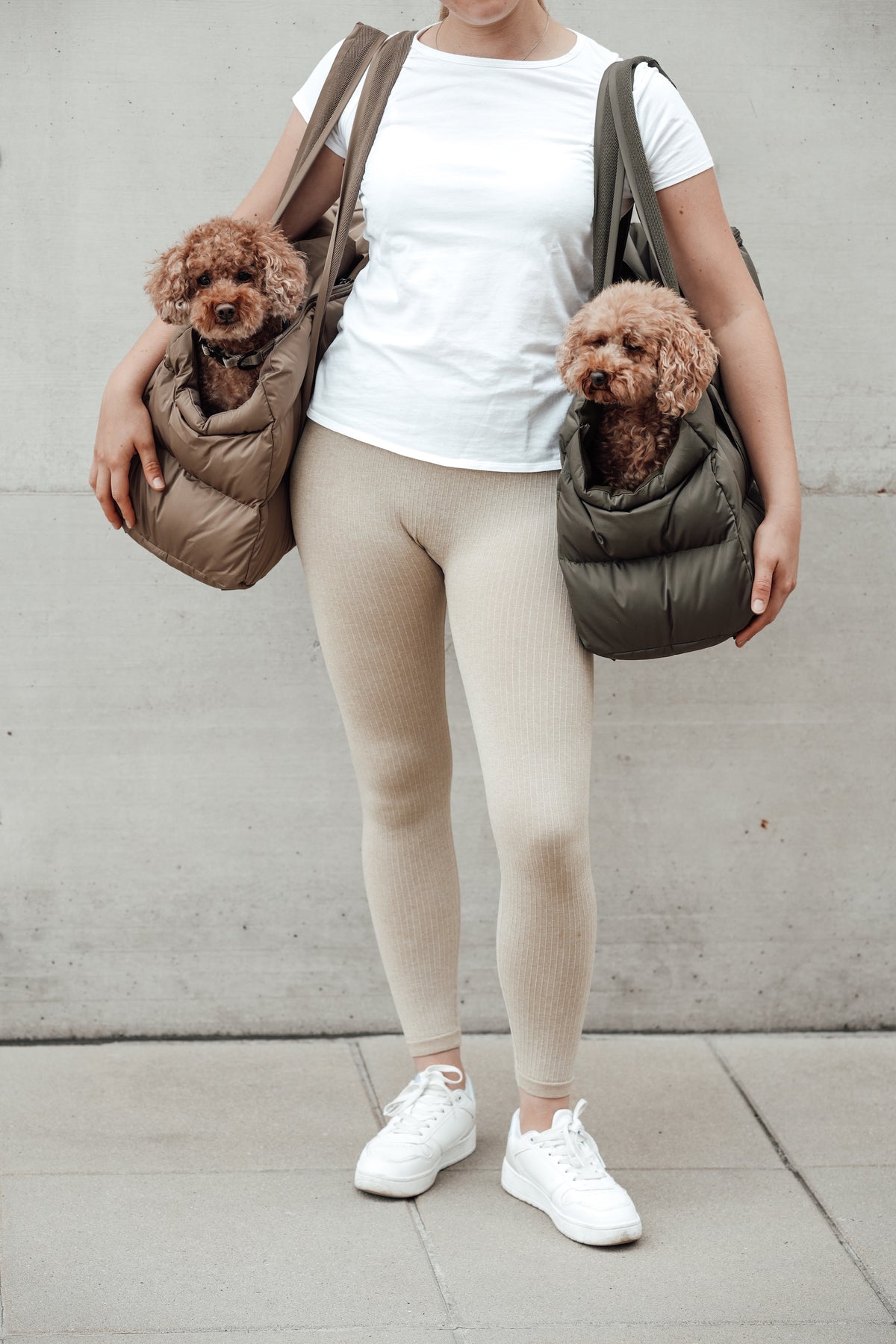 Cloud7 Hundetasche Montreal Tasche für Hunde zum Umhängen