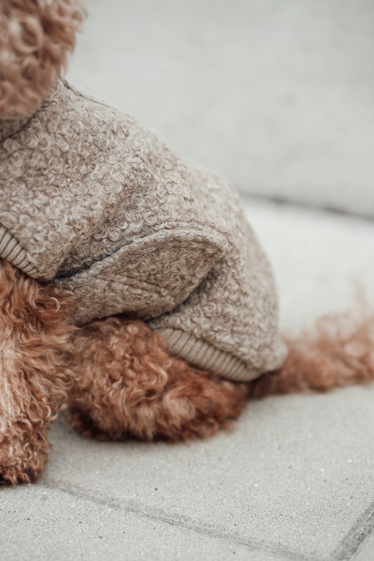 Cloud7 Hundewintermantel Hundepullover Gotland Sandy Brown Hundepullover verstellbar Herbst Winter