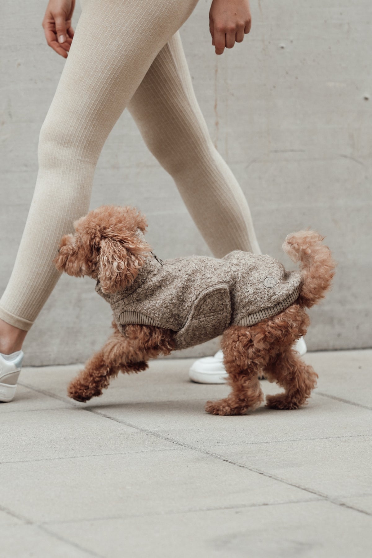 Cloud7 Hundewintermantel Hundepullover Gotland Sandy Brown Hundewintermantel wasserabweisend