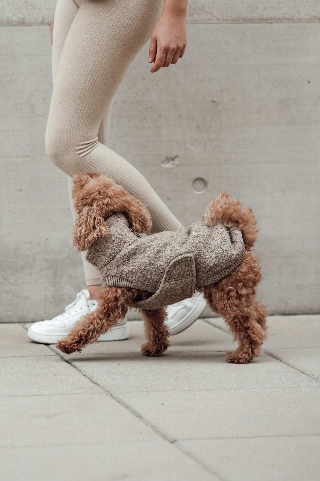 Cloud7 Hundewintermantel Hundepullover Gotland Sandy Brown Hundemantel Mantel Hund warm Wintermantel Hund wasserabweisend