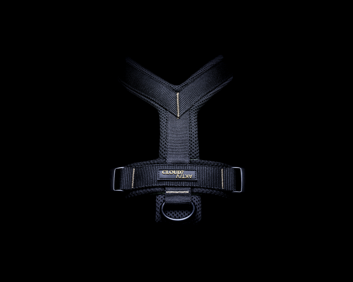 Cloud7 Y-1-Harness AKTIV Black Geschirr für Hunde Sport mit Hund Hundegeschirr gepolstert