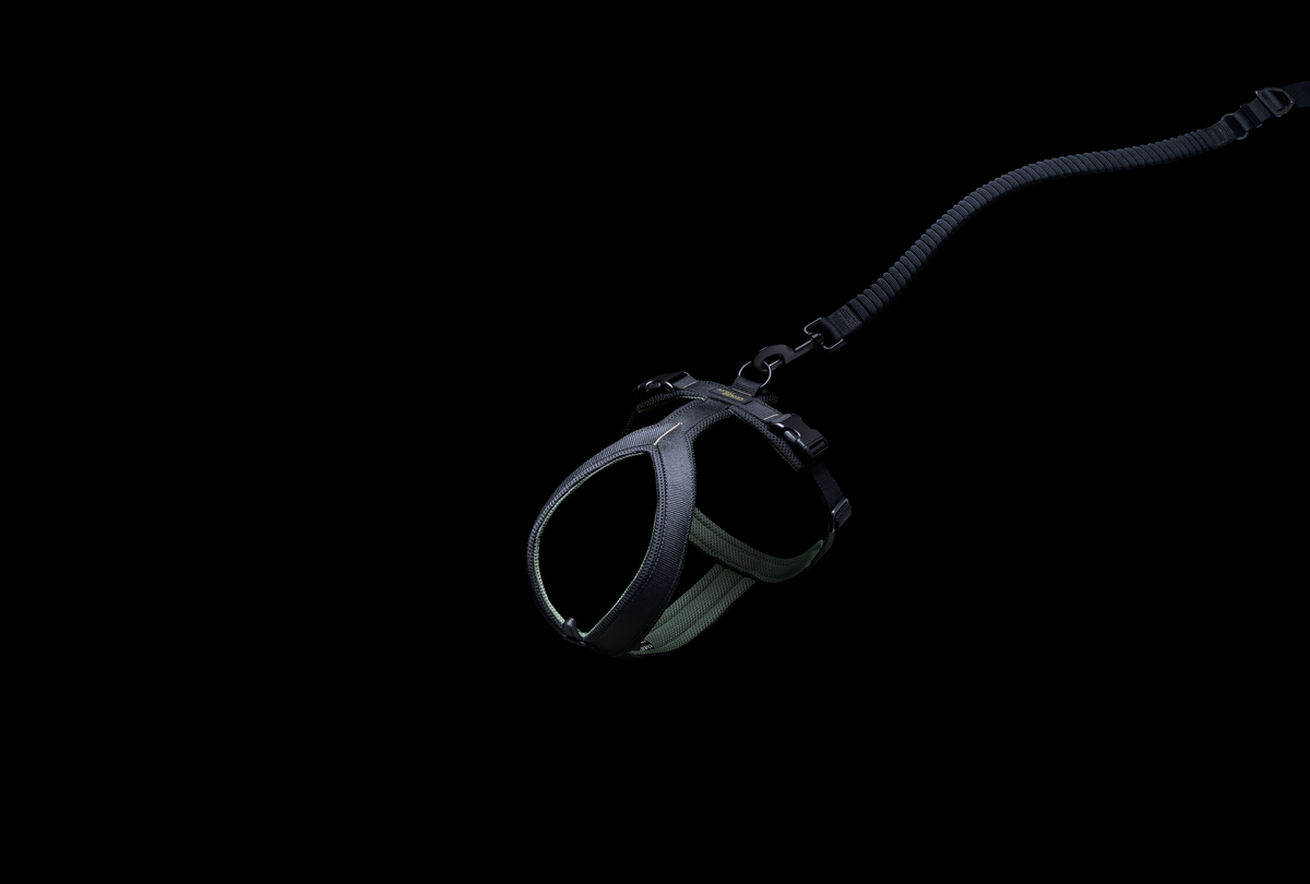 Cloud7 Y-1-Harness AKTIV Black Geschirr für Hunde Sport mit Hund Hundegeschirr wasserabweisend waschbar