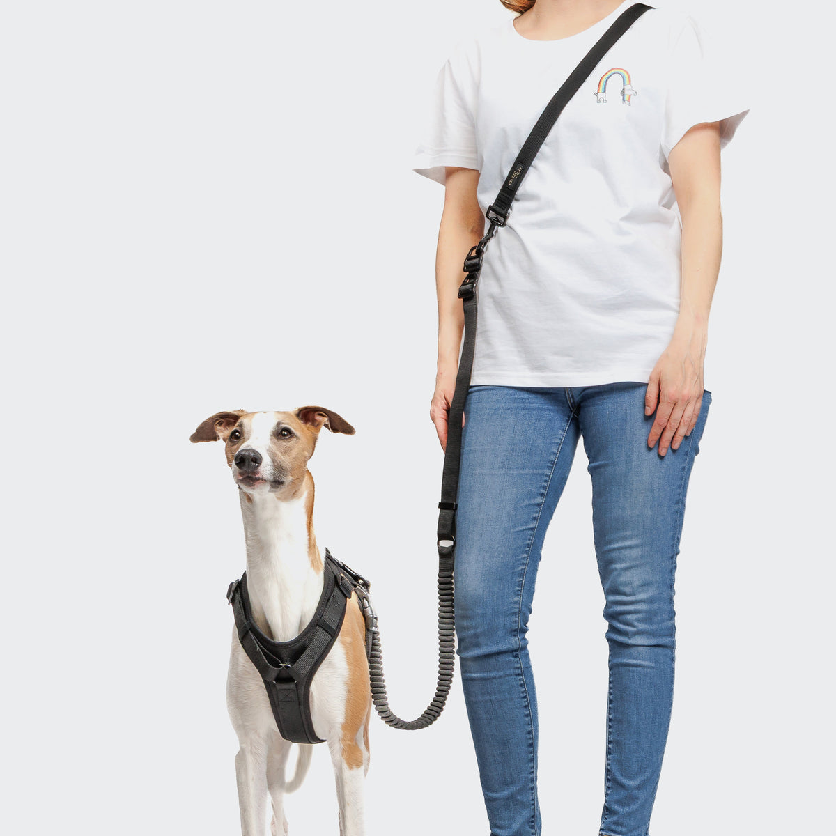 Cloud7 Y-3-Harness AKTIV Black Geschirr für Hunde Geschirr für Hunde gepolstert waschbar