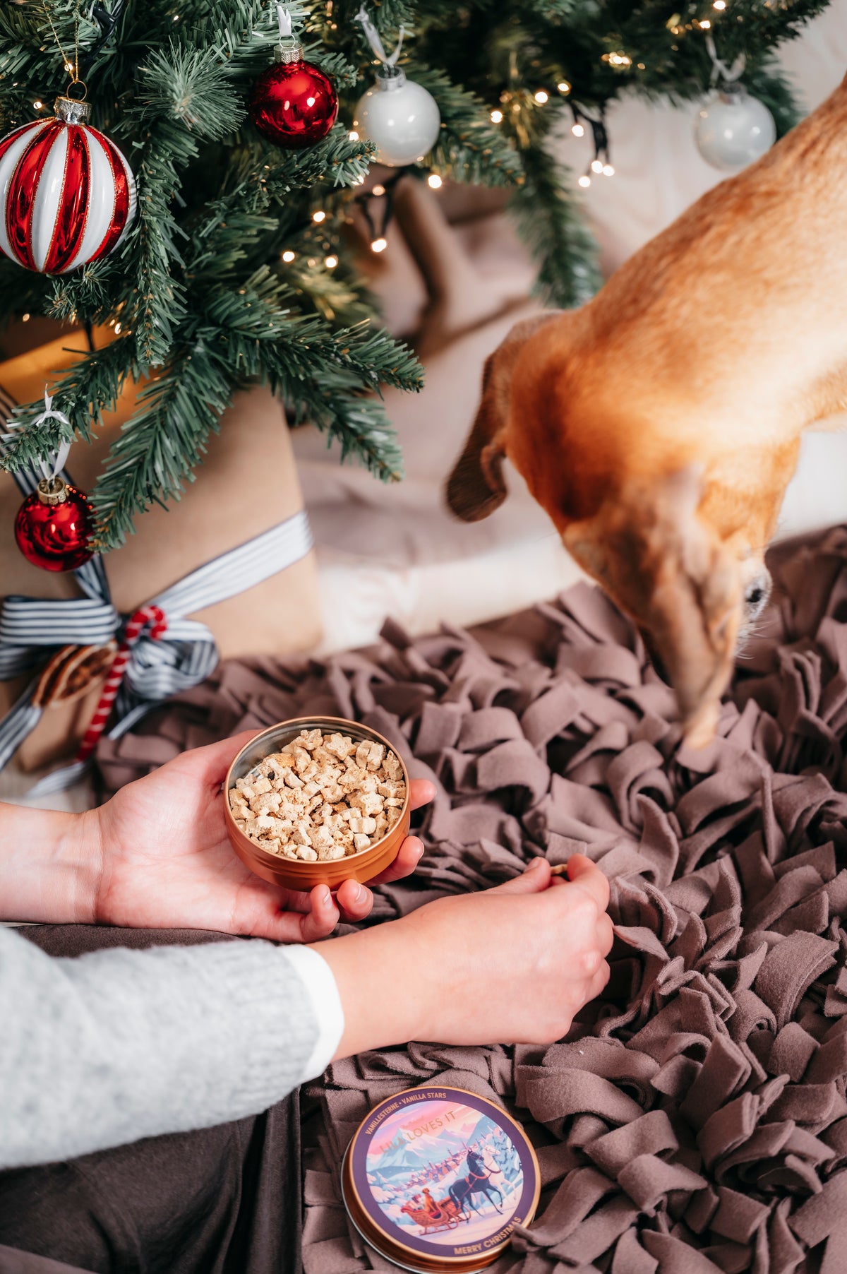 LILA LOVES IT Weihnachts-Goodies Hundeleckerlis ohne Fleisch