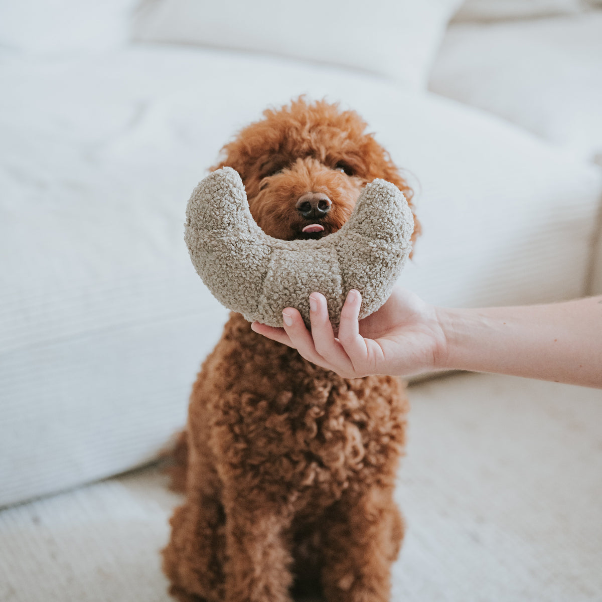 Lillabel Croissant Schnüffelspielzeug Hundespielzeug alleine lassen