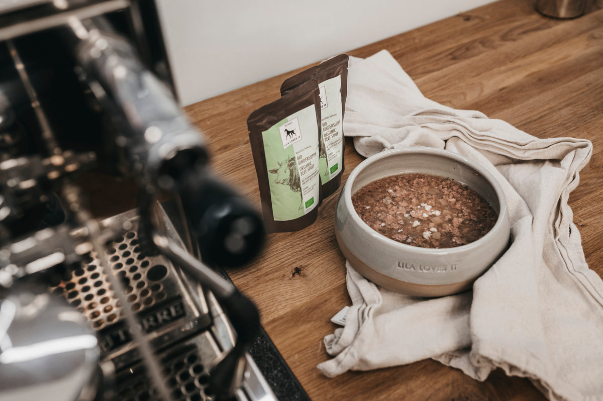 LILA LOVES IT Bio-Rindersuppe für Hunde Darmfreundliche Suppe für Hunde Darmkur für Hunde