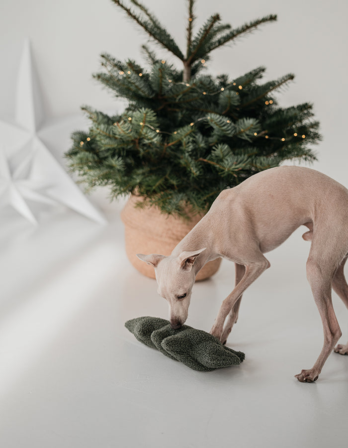 Lillabel Plüsch Beschäftigungsspielzeug Weihnachtsbaum Weihnachten Hundespielzeug