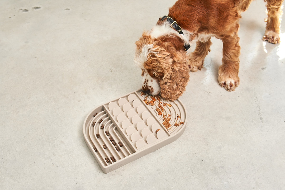 MiaCara Aperitivo Beschäftigungsspielzeug Greige Hundespielzeug