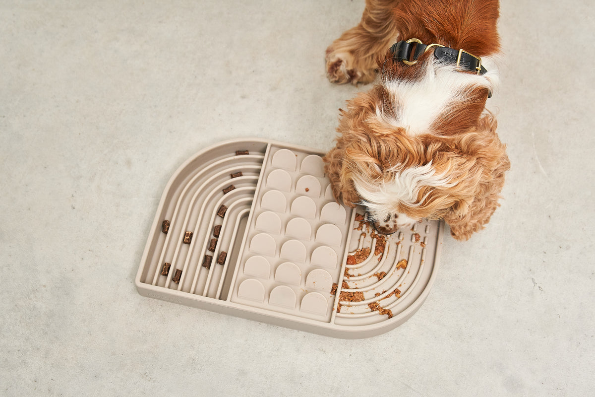 MiaCara Aperitivo Beschäftigungsspielzeug Greige Schleckmatte für Hunde