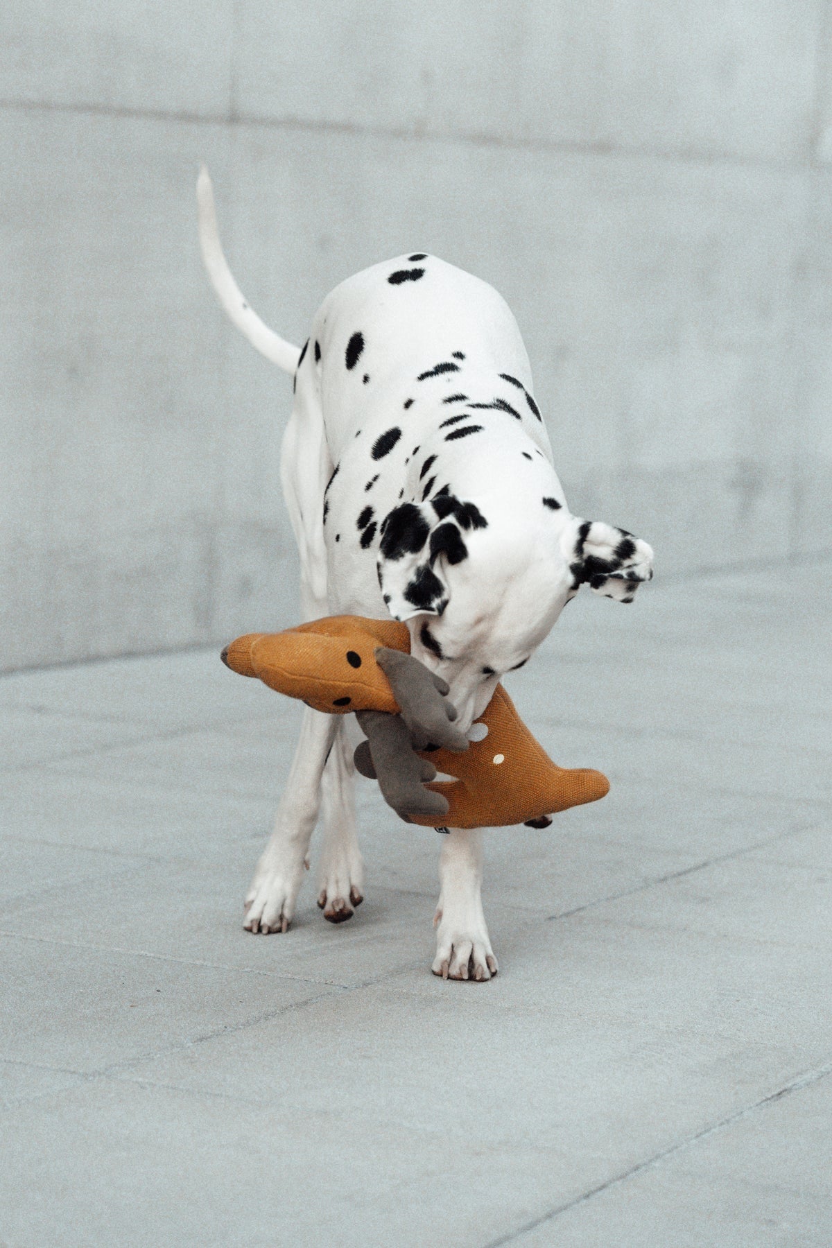 MiaCara Bosco Hundespielzeug Reh Ocker Hundespielzeug Beschäftigung