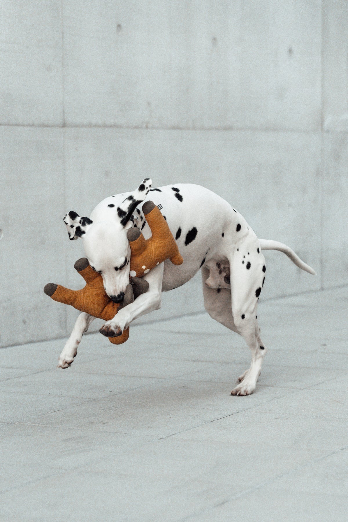 MiaCara Bosco Hundespielzeug Reh Ocker Hundespielzeug Welpen