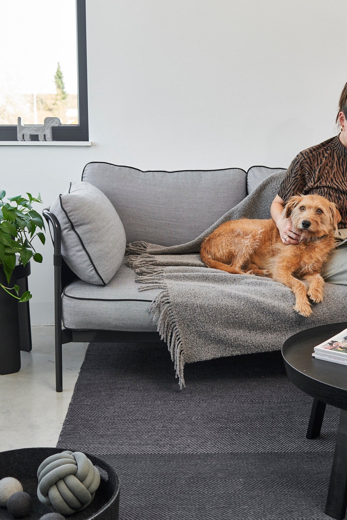 MiaCara Buccola Sofadecke Fels Hundedecke für das Sofa