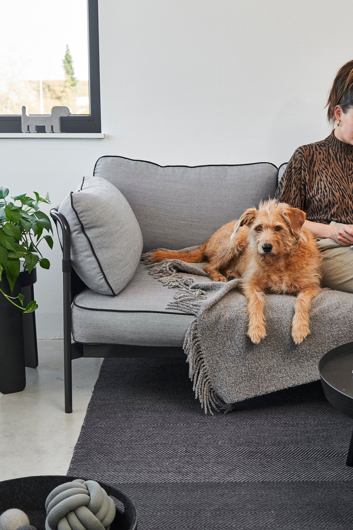 MiaCara Buccola Sofadecke Fels Hundedecke für unterwegs