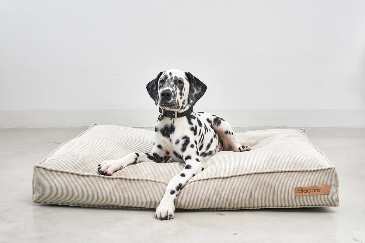 MiaCara Cordo Hundekissen Greige waschbares Cord Hundebett