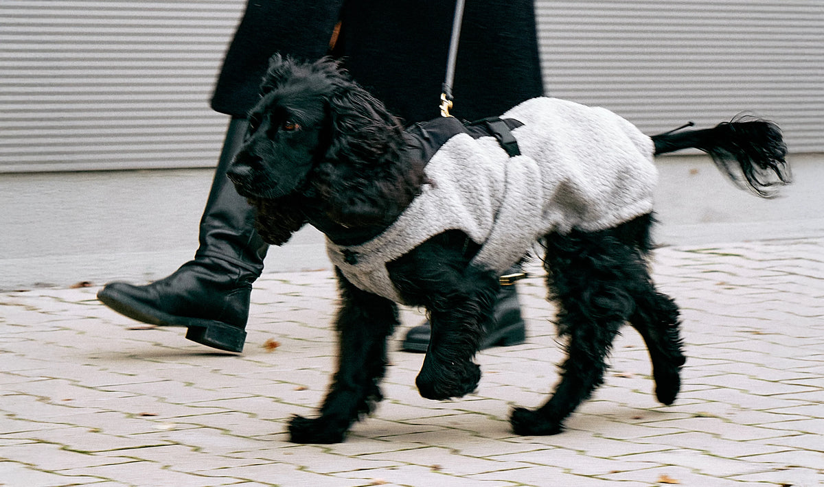 MiaCara Hundemantel Emilia Kiesel - Schwarz Hundemantel für den Winter