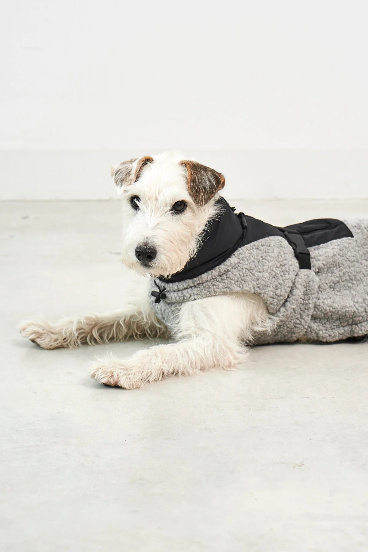 MiaCara Hundemantel Emilia Kiesel - Schwarz Wintermantel für Hunde Teddystoff