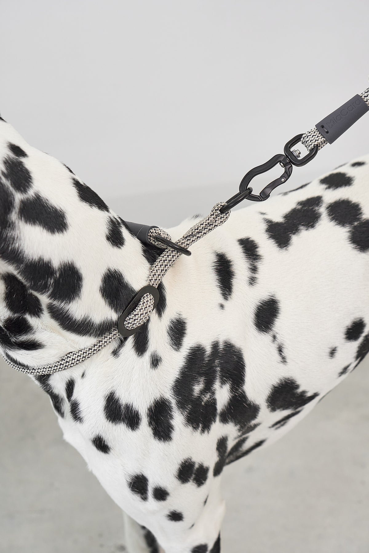 MiaCara Monza Hundeleine verstellbar Führleine Asphalt Greige Grolive Hund Gassileine