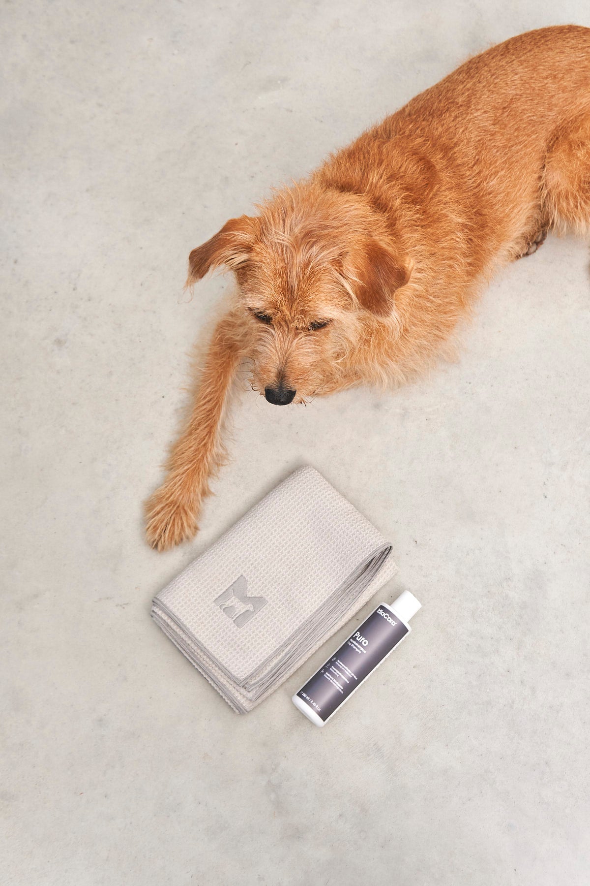 MiaCara Panno Hundetrockentuch Greige SM ML Hundehandtuch