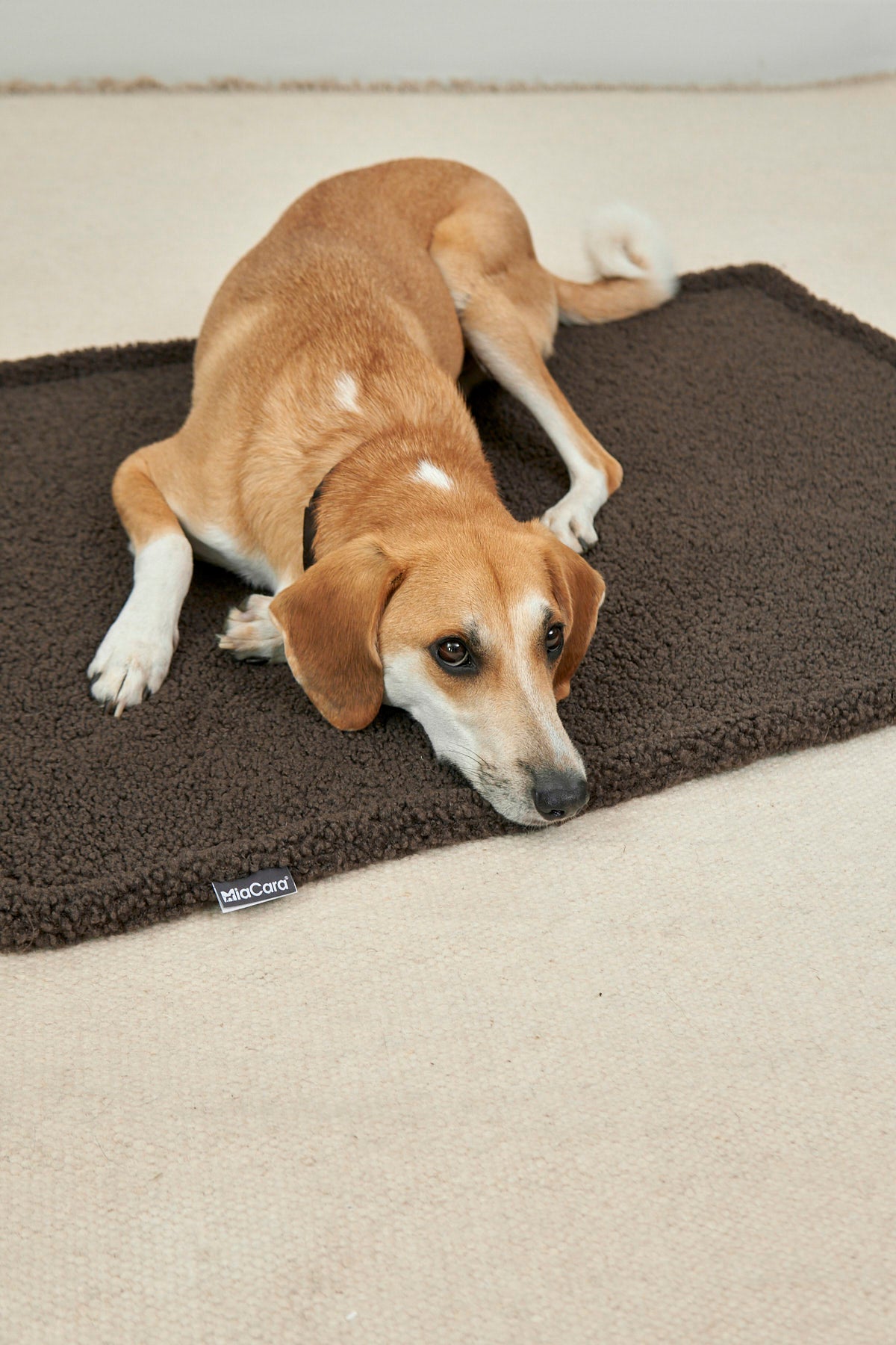 MiaCara Senso Hundedecke Schokolade Hundedecke waschbar