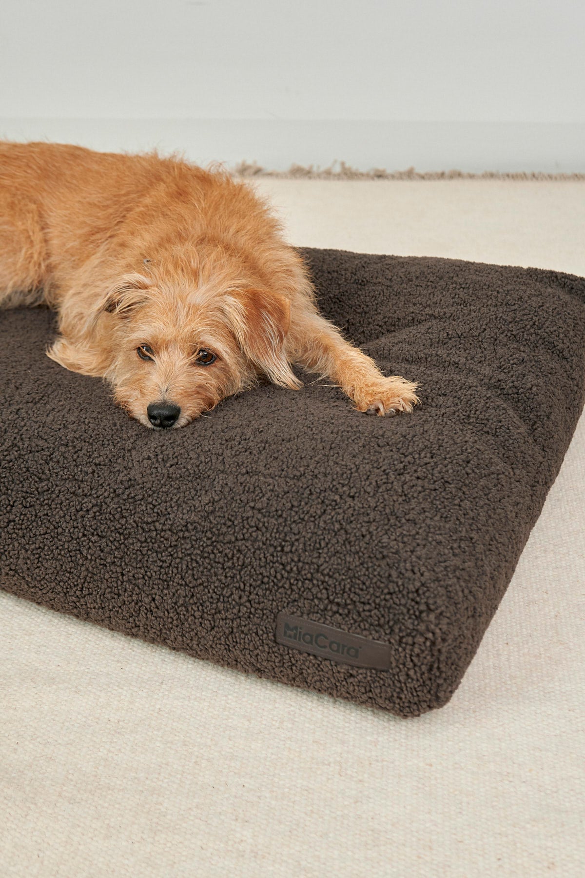 MiaCara Senso Hundekissen Schokolade Hundekissen Design