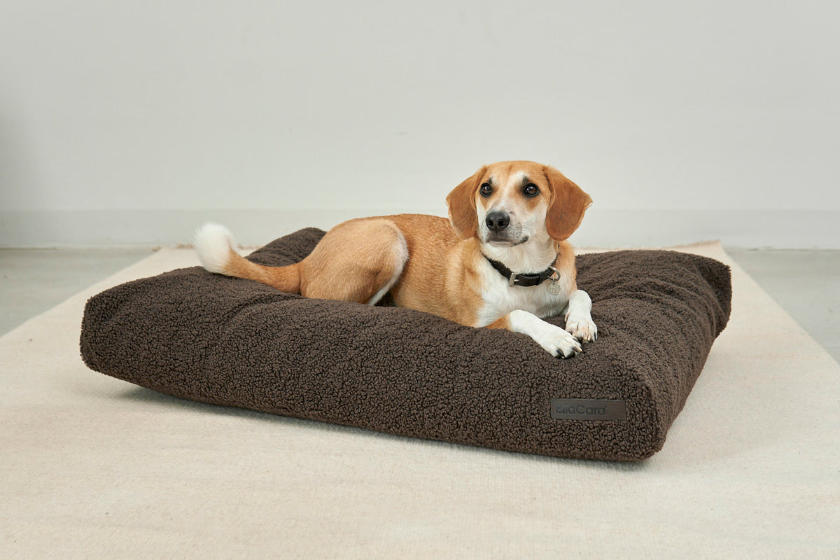 MiaCara Senso Hundekissen Schokolade Hundekissen waschbar