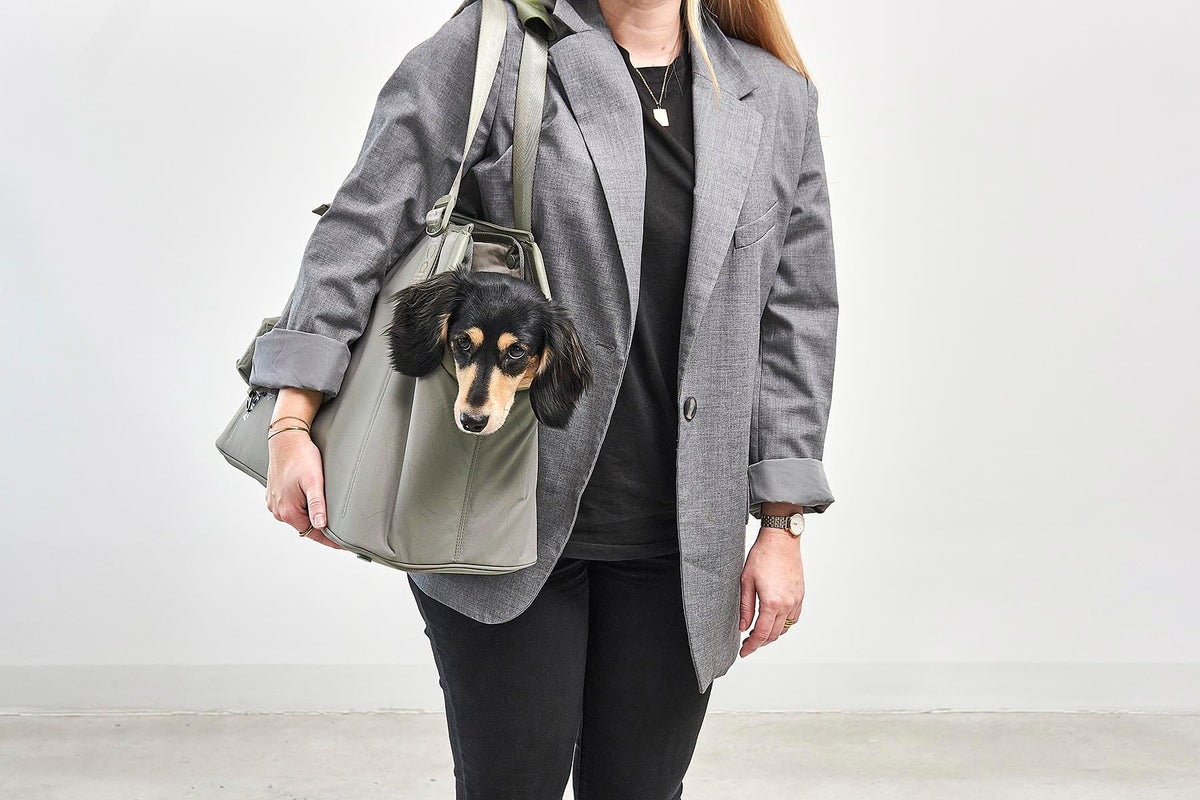 MiaCara Sporta Hundetragetasche Grolive Hundetasche kleine Hunde