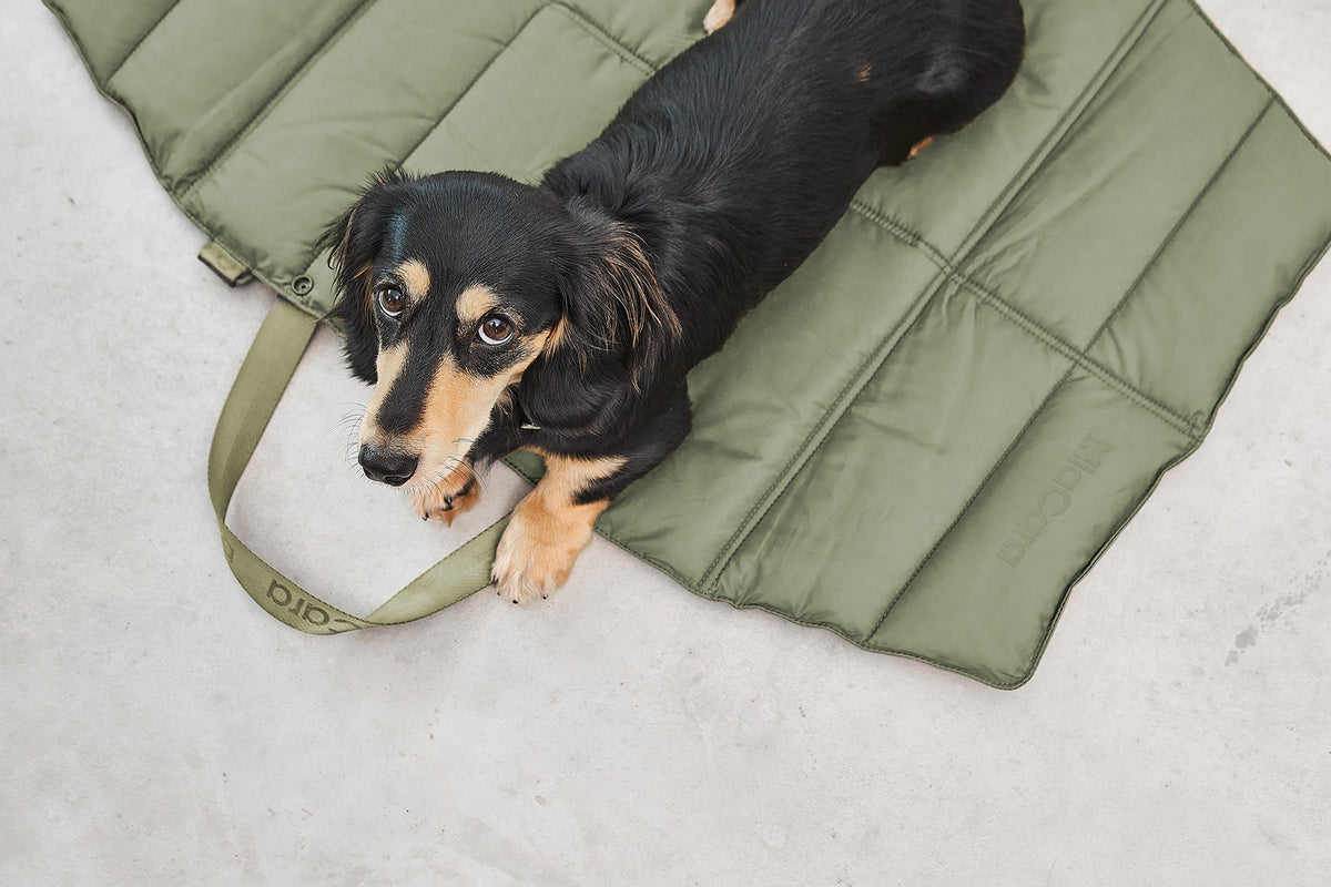 MiaCara Strada travelBed Grolive Hundedecke