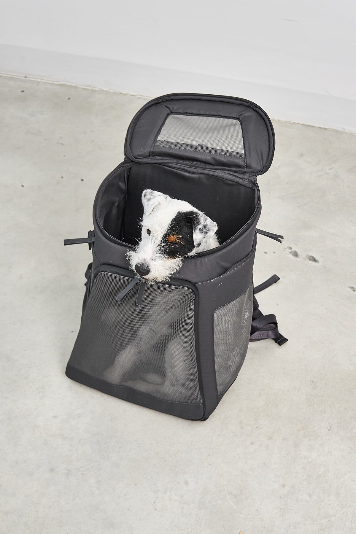 MiaCara Zaino Hunderucksack Asphalt Hunderucksack zum Wandern Reisen mit Hund