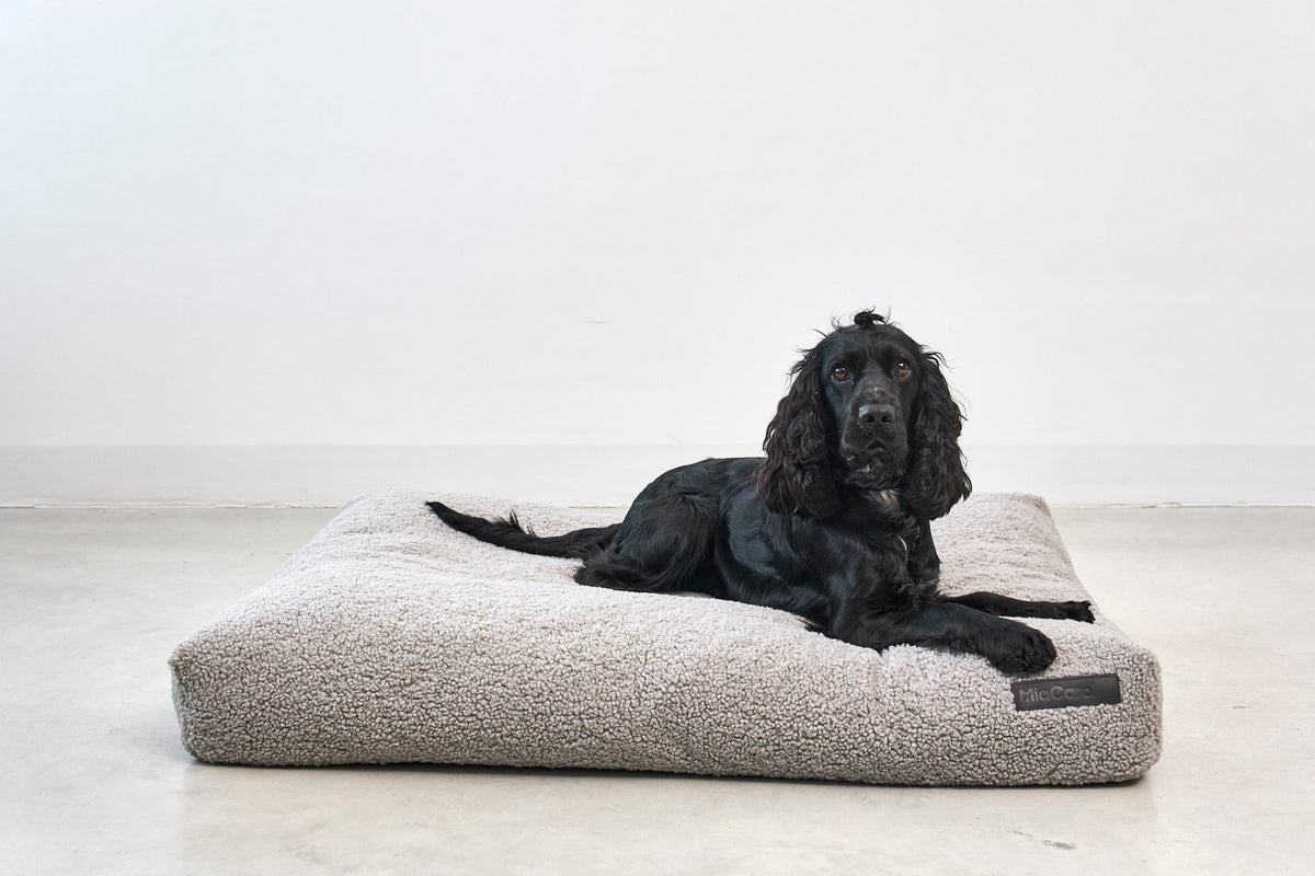 Miacara Senso Hundekissen Kiesel kuscheliges Teddykissen in grau