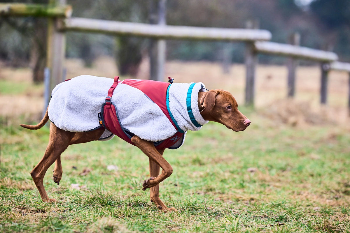 Non-Stop Dogwear Trekking Fleece Dog Jacket Trekkingjacke mit Fleece