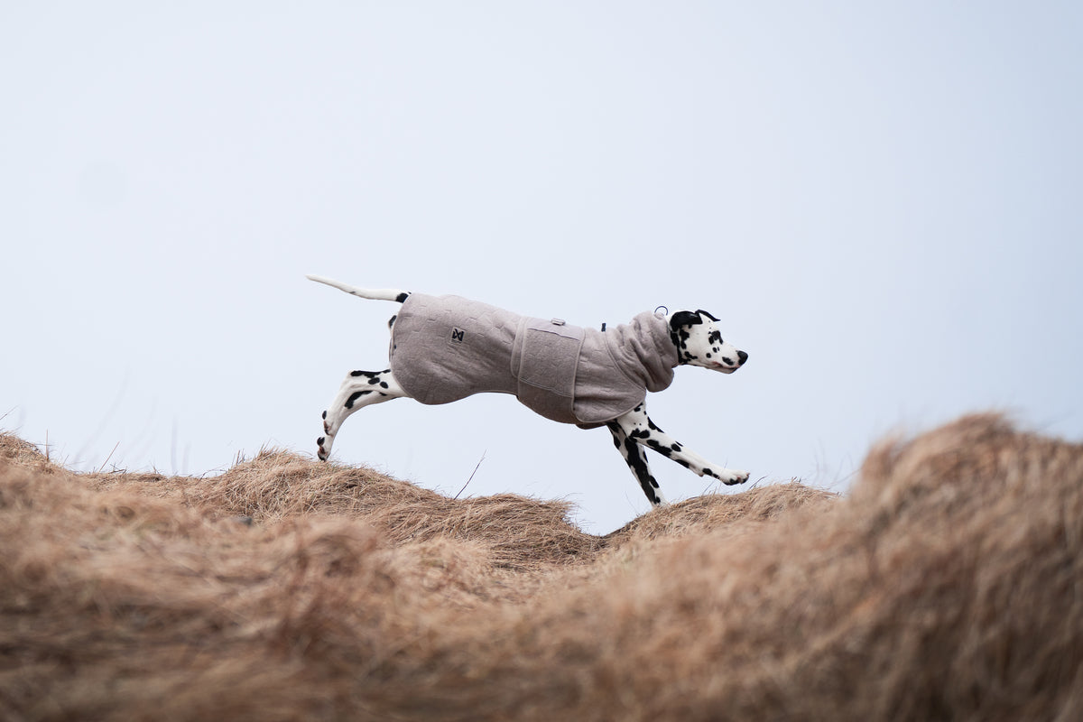 Non-stop dogwear® Drying Coat Handtuch für Hunde Frottee