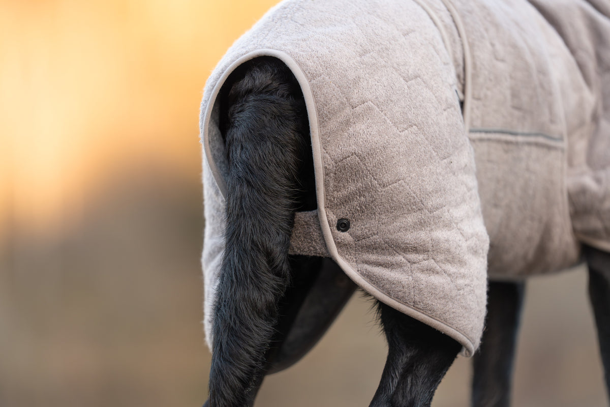 Non-stop dogwear® Drying Coat Hundebademantel Ausrüstung Hundesport