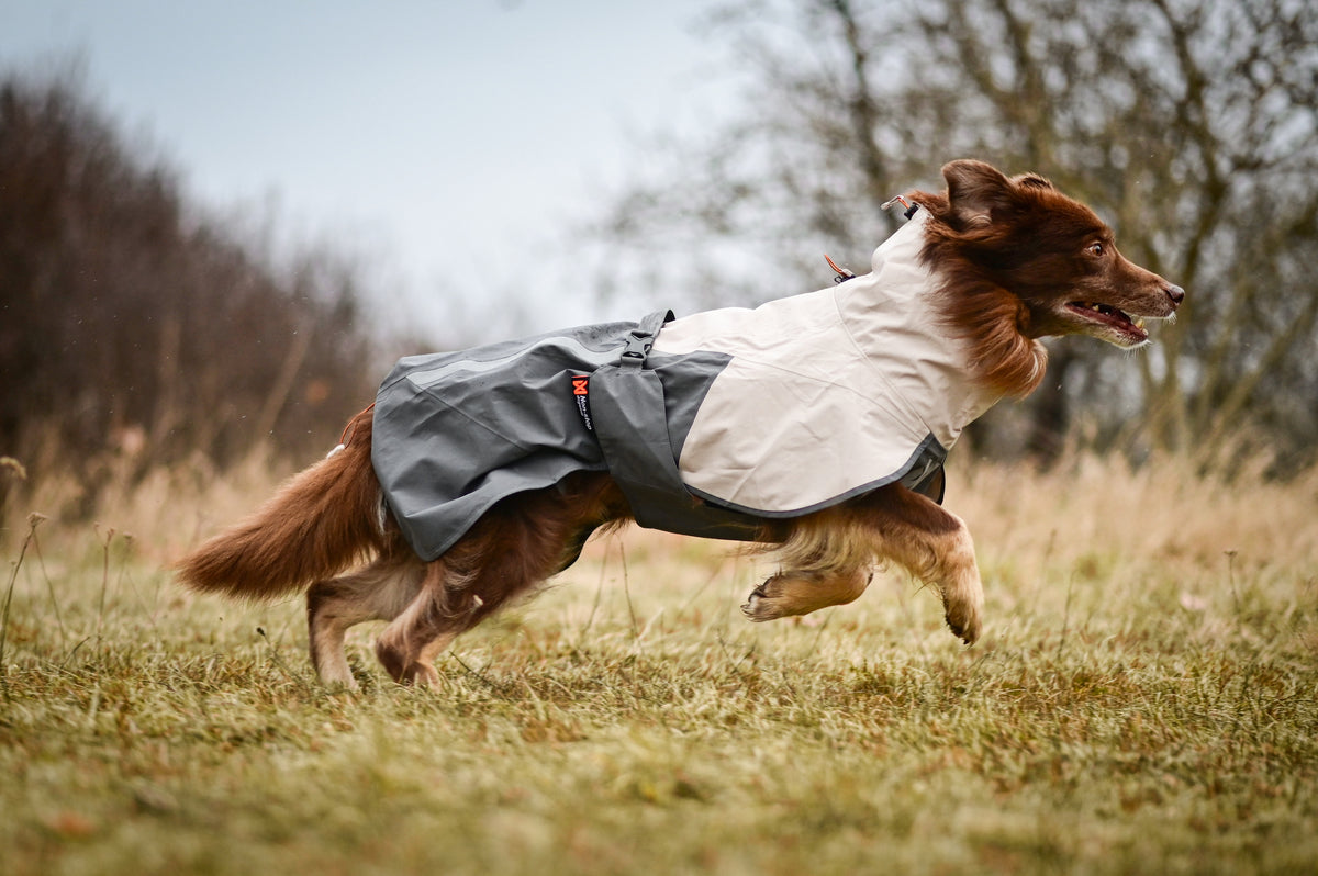 Non-stop dogwear® Fjord Raincoat 2.0 Grey Mantel für Hunde wasserabweisend