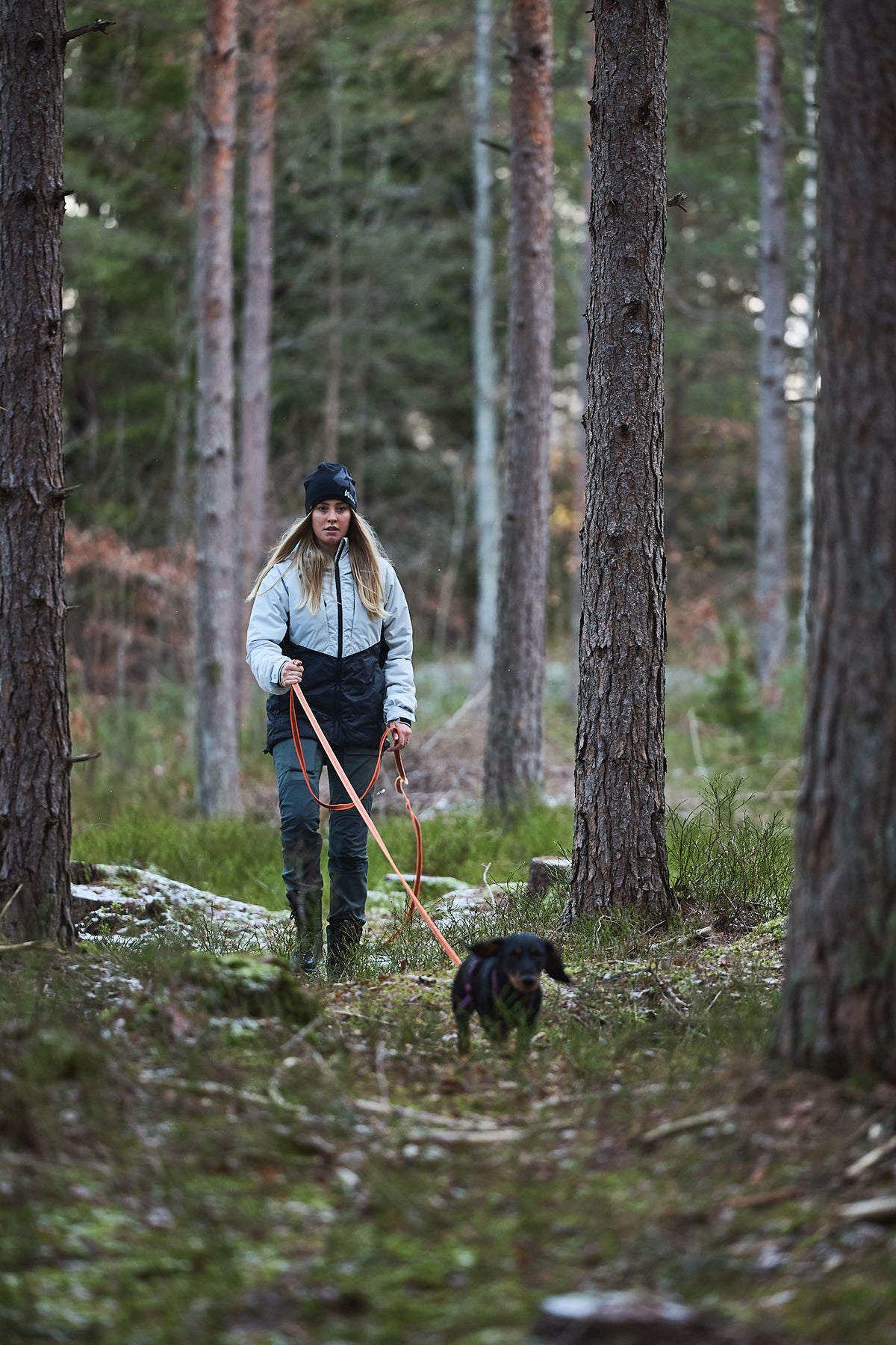 Non-stop dogwear Friction Long Line Hundeschleppleine