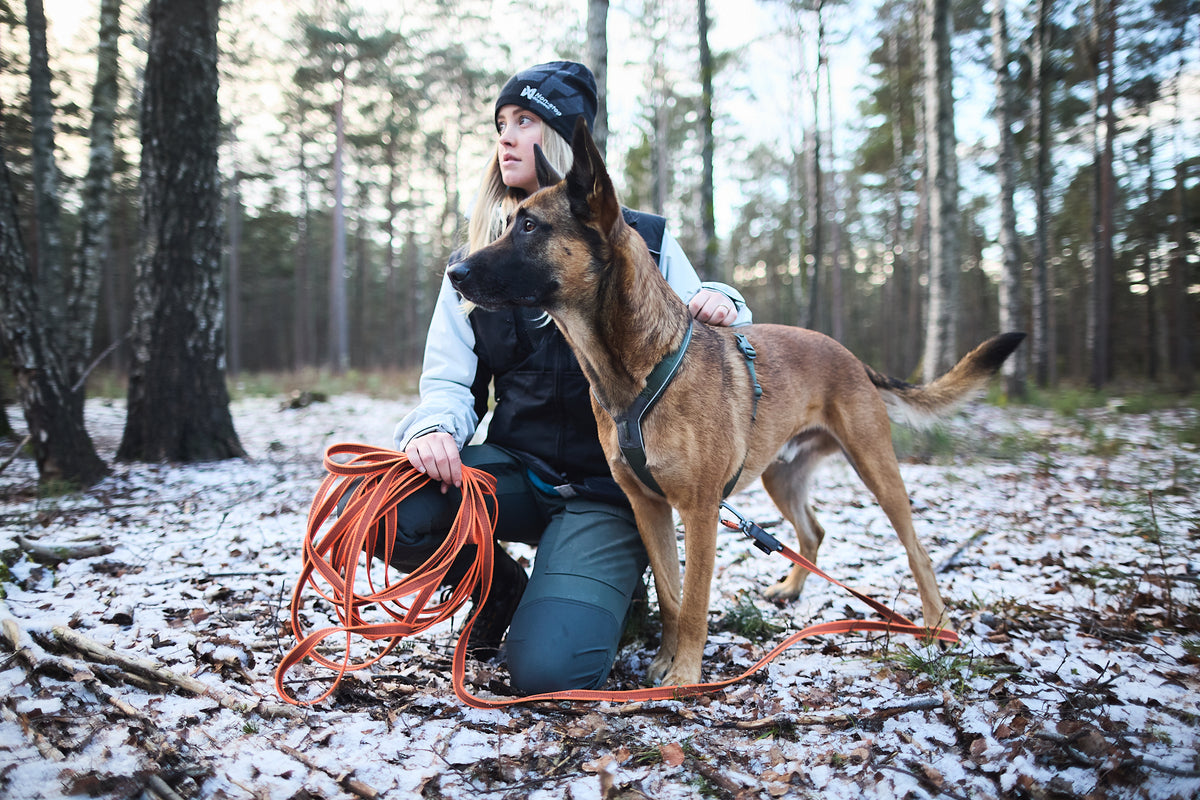 Non-stop dogwear Friction Long Line Robuste Schleppleine fürs Hundetraining