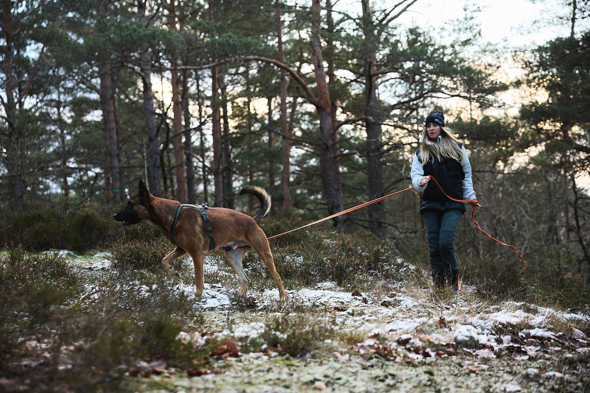 Non-stop dogwear Friction Long Line Robuste Lange Schleppleine